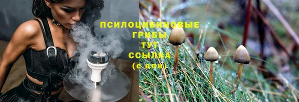 прущие крисы Баксан