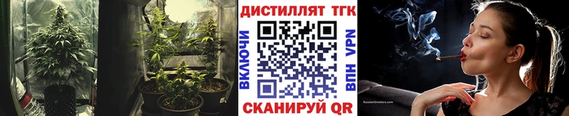 Дистиллят ТГК концентрат  Балашов 