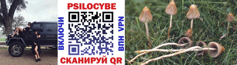 shop наркотические препараты Балашов Псилоцибиновые грибы Cubensis магазин наркотиков